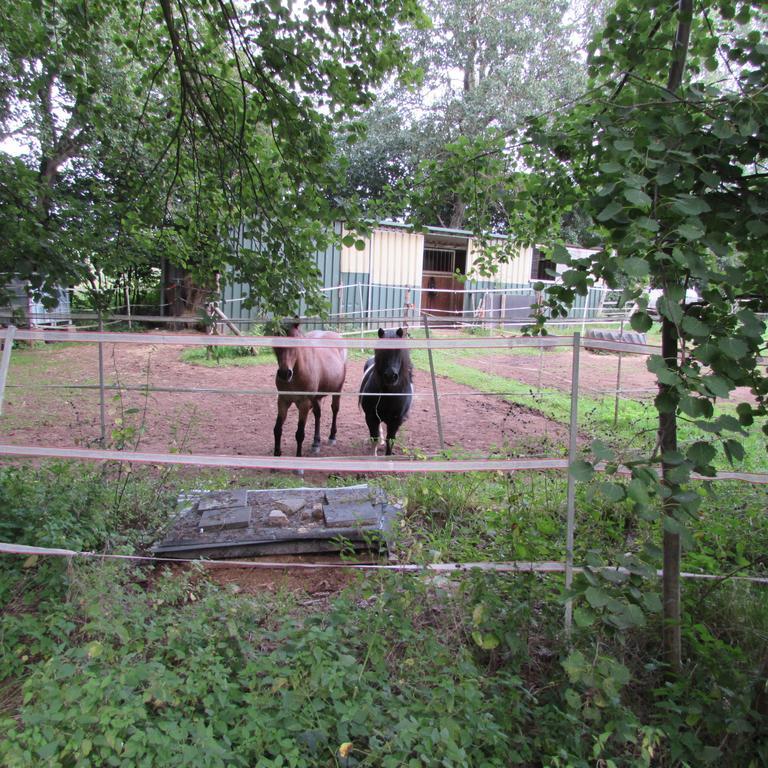 Ferienwohnung "Eifelstueffje" Mechernich Szoba fotó