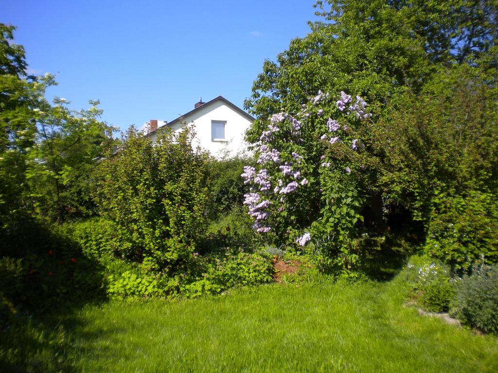 Ferienwohnung "Eifelstueffje" Mechernich Kültér fotó